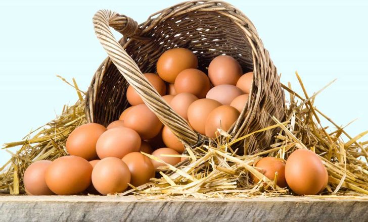 تولید تخم مرغ های غنی شده با امگا 3