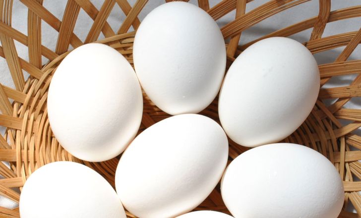 کاهش چشمگیر قیمت تخم مرغ در بازار