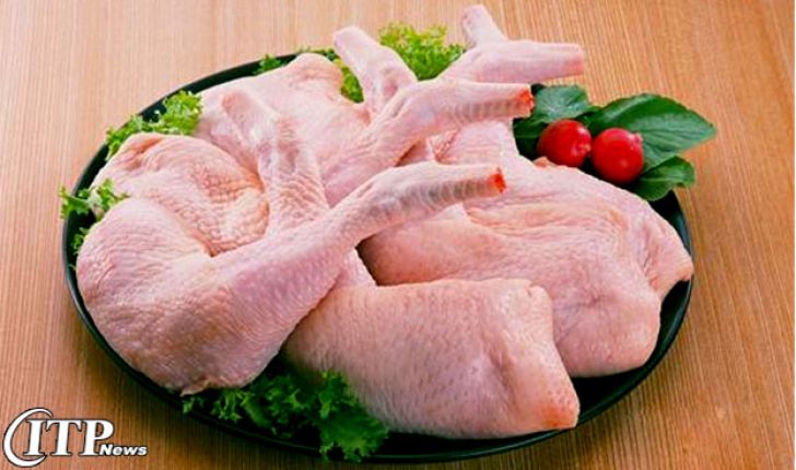 ظرفیت تولید مرغ بدون مصرف آنتی بیوتیک به یک هزارتن در ماه رسید