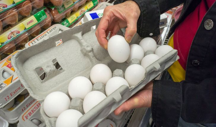 تخم مرغ در ایران ارزانتر از اروپاست