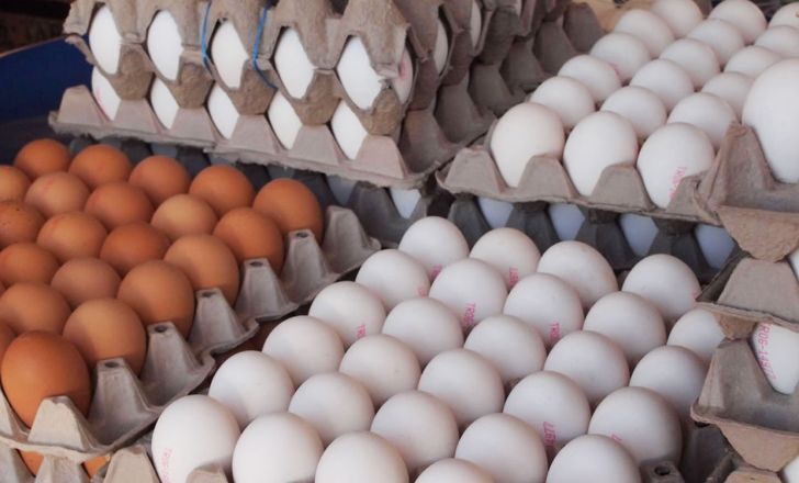 صادرات تخم مرغ در عمل متوقف است