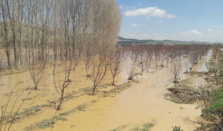 خسارت باران به 10 هزار هکتار از زمین‌های کشاورزی کهگیلویه و بویراحمد