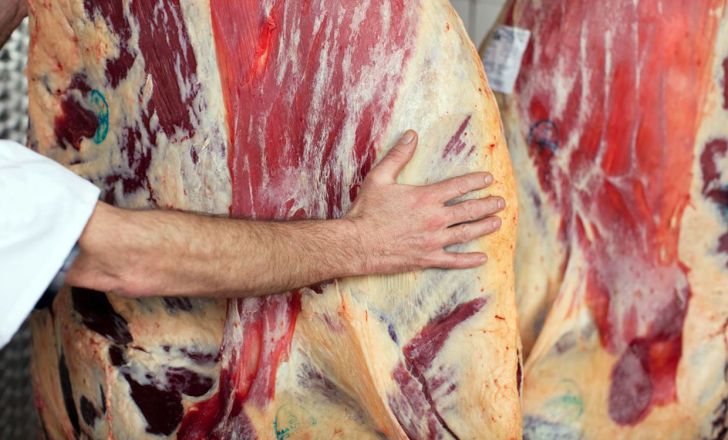 توزیع ۴ هزار تن گوشت در استان تهران ویژه ماه رمضان