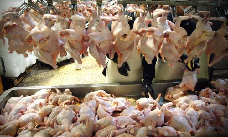 ثبات نسبی قیمت مرغ در بازار
