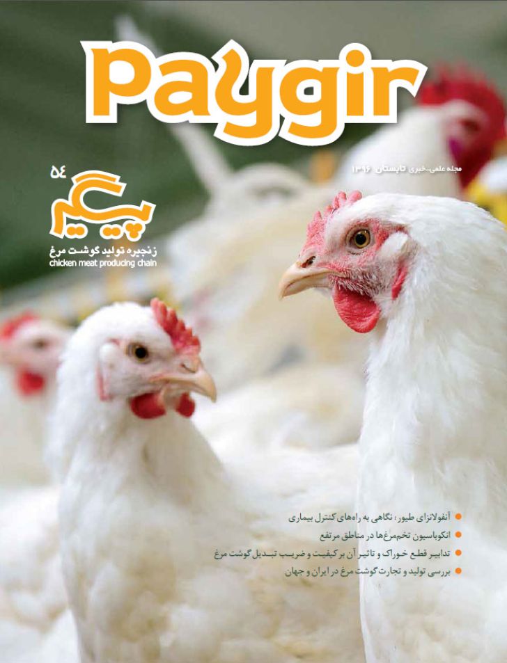 دانلود مجله پیگیر شماره - 54