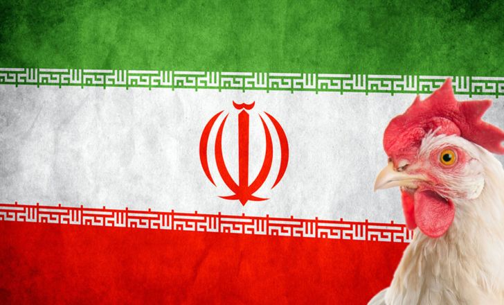 ایران یک کشور صادر کننده نیست 
