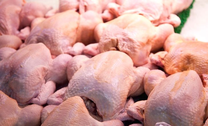 صادرات مرغ به افغانستان ۹۸ هزار دلار عاید خراسان جنوبی کرد