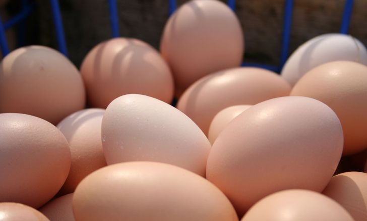 علت مخالفت اتحادیه میهن برای حک قیمت روی تخم مرغ 