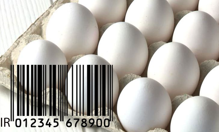 داشتن کد IR و مجوز های صادراتی تخم مرغ