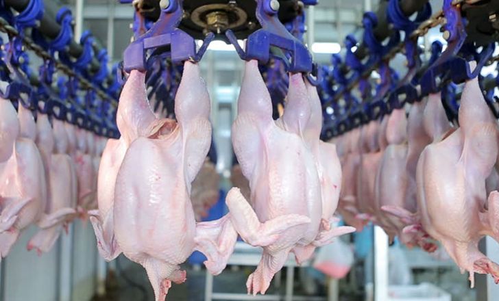 سالانه ۷۹ هزار تن گوشت مرغ در آذربایجان غربی تولید می شود