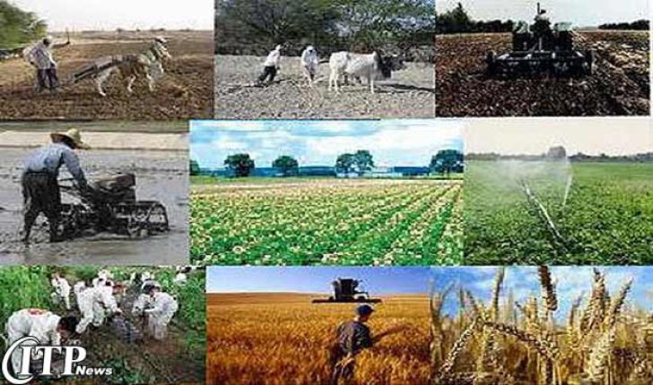 اولین المپیاد ملی بهره وری بخش کشاورزی و منابع طبیعی