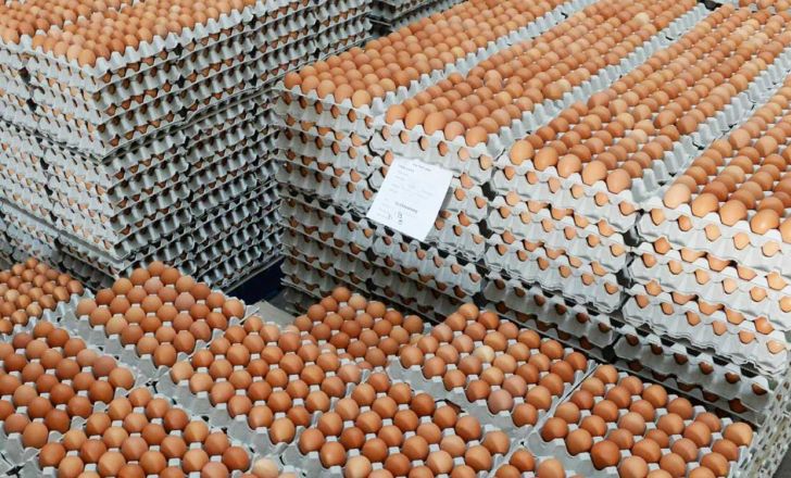 ۶۰ تن تخم مرغ وارد کشور شد