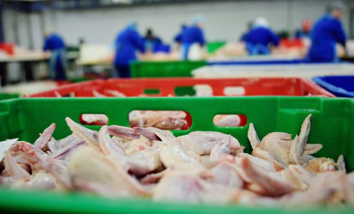 ایران سهمی از واردات ۳ میلیون تنی مرغ در حاشیه خلیج‌فارس ندارد