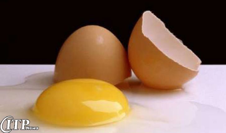 زیان های مالی به صنعت مرغ تخم گذار آسیب زده است