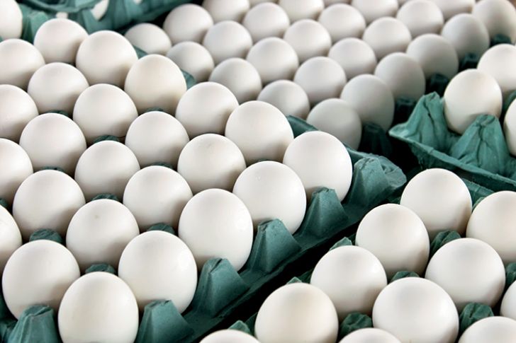 تولید 70 هزار تن تخم مرغ در قم
