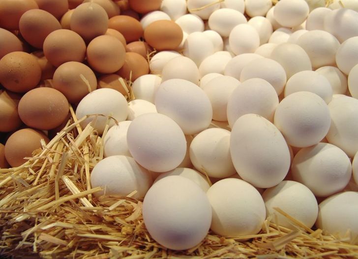 تحلیلی بر بازار تخم مرغ از ابتدای سال تاکنون