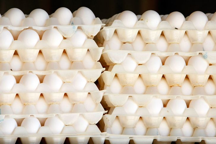  بررسی دلایل افزایش قیمت تخم مرغ در کشور