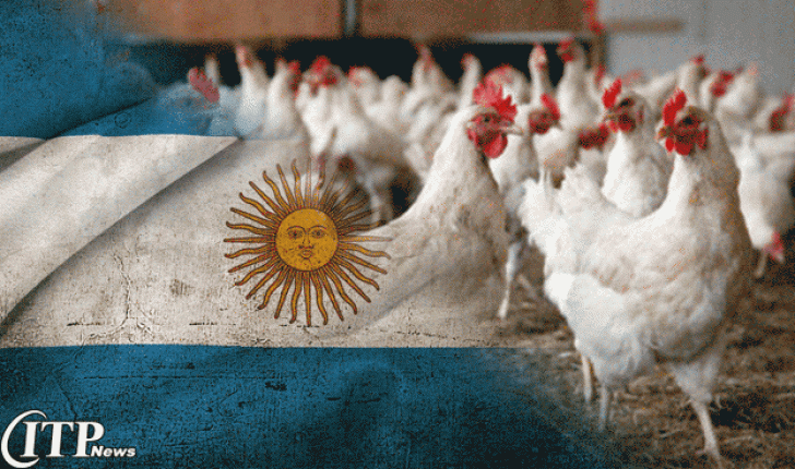برآورد رشد تولیدات مرغداری آرژانتین