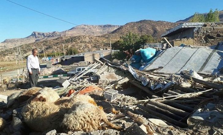 پرداخت بیش از ۸۵ درصد خسارت دامداران آسیب‌دیده در زلزله کرمانشاه