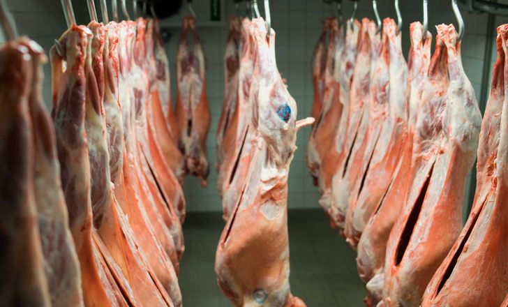 عرضه روزانه ۱۰۰تن گوشت گوسفندی در تهران