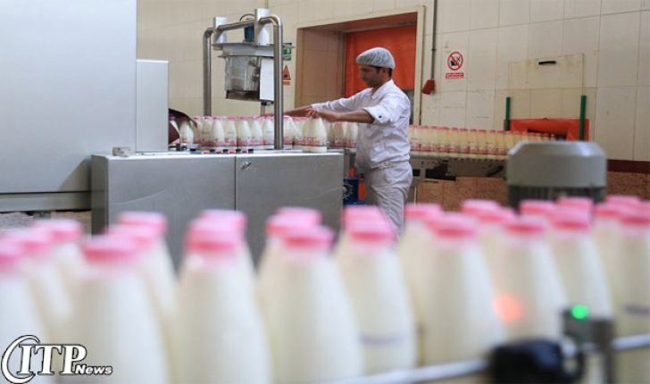 تولید روزانه 300 تن شیر در خراسان‌جنوبی