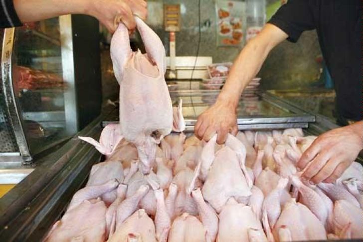 آخرین تحولات قیمت مرغ در بازار