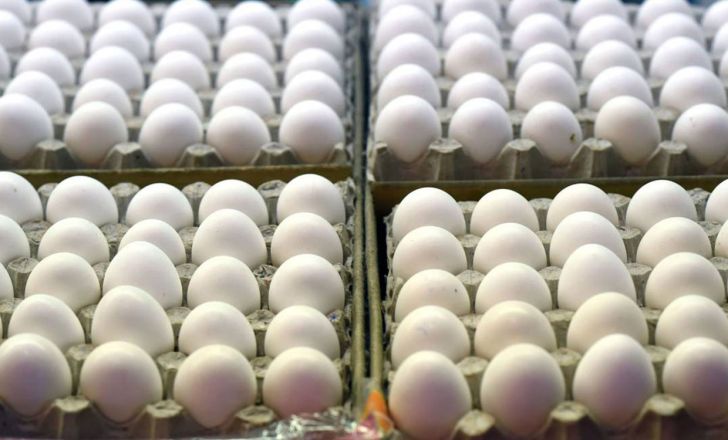 ثبات نرخ تخم مرغ در بازار