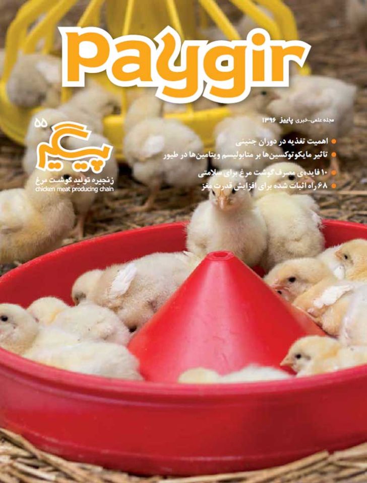 دانلود مجله پیگیر شماره - 55