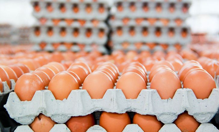 افرایش قیمت هرکیلو تخم مرغ به 8 هزار تومان