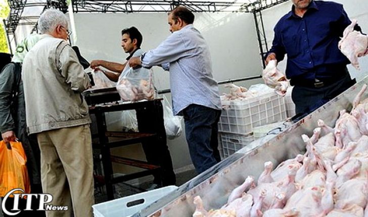 آشفتگی بازار عرضه مرغ با قیمت دلخواه
