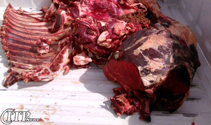 کشف محموله ۶ تنی گوشت آلوده