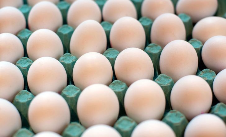 قیمت هر شانه تخم‌مرغ روی ۱۲هزار تومان ایستاد