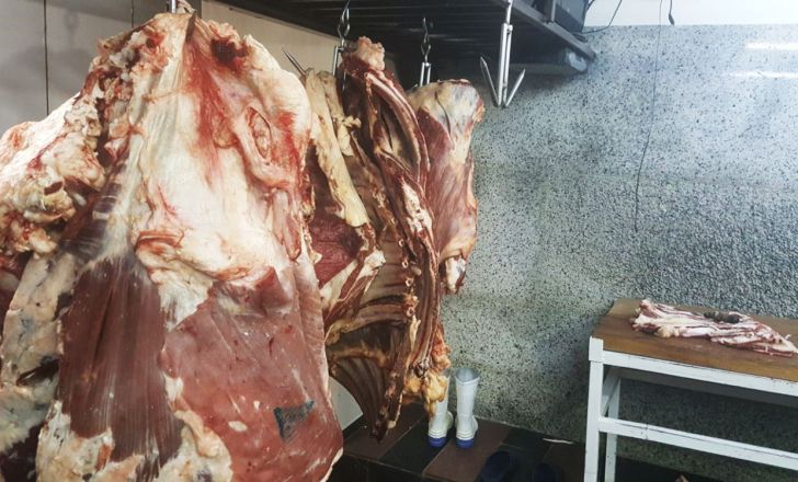 درگیری عاملین تهیه و توزیع گوشت غیربهداشتی با نیروهای دامپزشکی در شهر ایلام