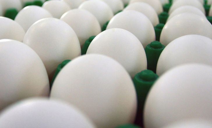 کاهش قیمت تخم مرغ در ماه رمضان
