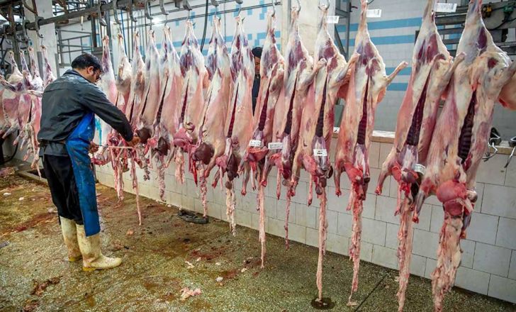 عرضه گوشت خارج از چرخه کشتارگاه ممنوع است