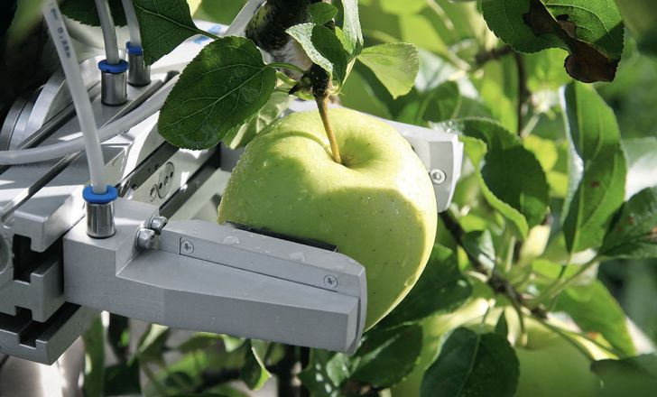 ربات‌هایی که میوه برداشت می‌کنند