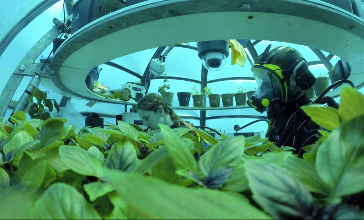 باغ زیردریایی؛ راه‌حلی نوآورانه برای کشاورزی در کشورهای خشک