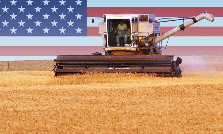 برآوردهای وزارت کشاورزی آمریکا در مورد عرضه و تقاضا