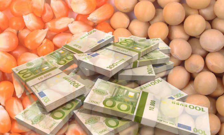 ۶۸۵ میلیون یورو ارز دولتی به واردات نهاده‌های دامی تخصیص یافت