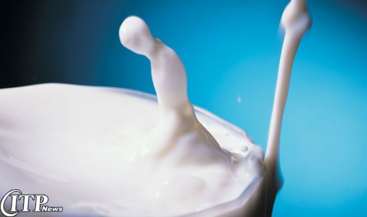 کمک دولت تنها راه حل خرید شیر خام به نرخ مصوب