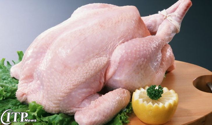 گوشت مرغ‌های عرضه‌شده در بازار همدان ارگانیک نیست