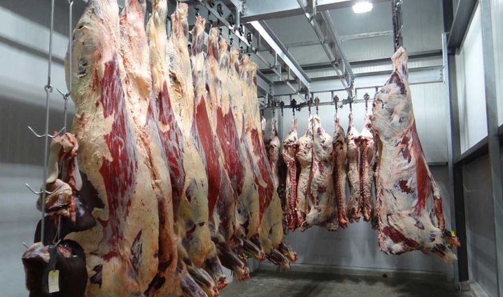 توزیع گوشت بلدرچین با بسته بندی مجاز امکان پذیر است