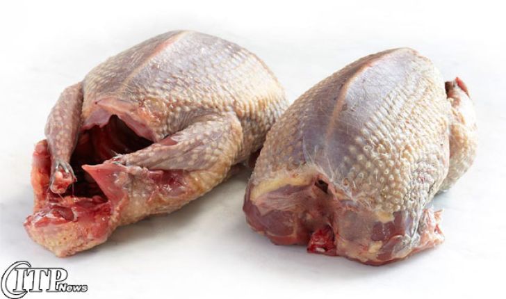 در هیچ نقطه ایران تولید مرغ ارگانیک نداریم