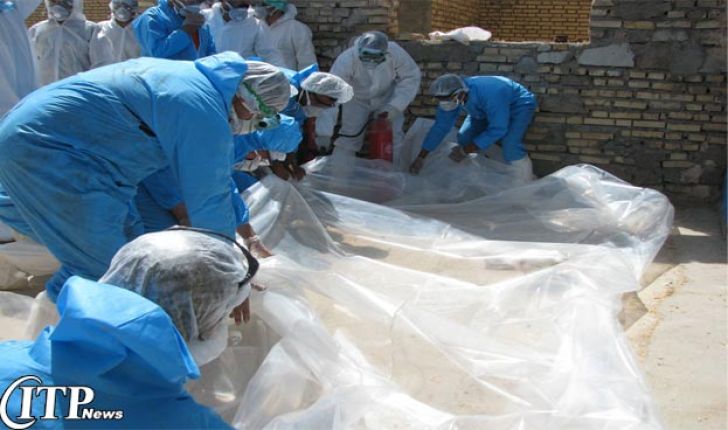 رزمایش پیشگیری از آنفلوانزای فوق حاد پرندگان در بیرجند برگزار شد