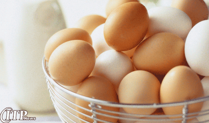 فروش بیسابقۀ تخم مرغ در انگلیس  