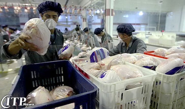 افزایش هزینه تمام شده مرغ به 7500 تومان