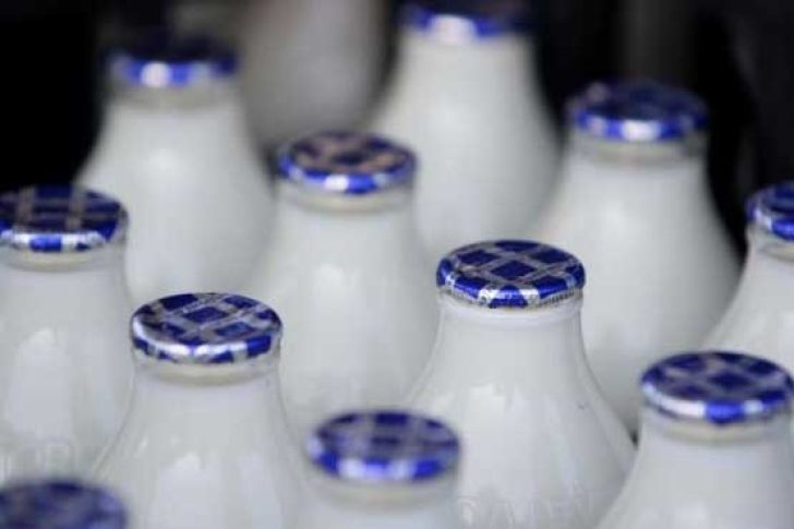 خرید تضمینی شیر تنها، مسکنی برای دامداران است