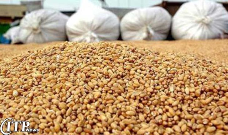 ۵۰۰۰ تن نیاز دامداران سمنان به کنستانتره خوراک دام تامین می شود