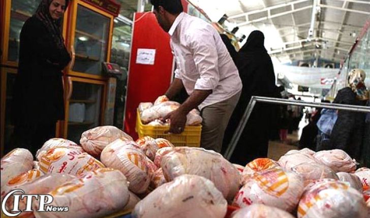 کاهش قیمت مرغ از نیمه دوم فروردین