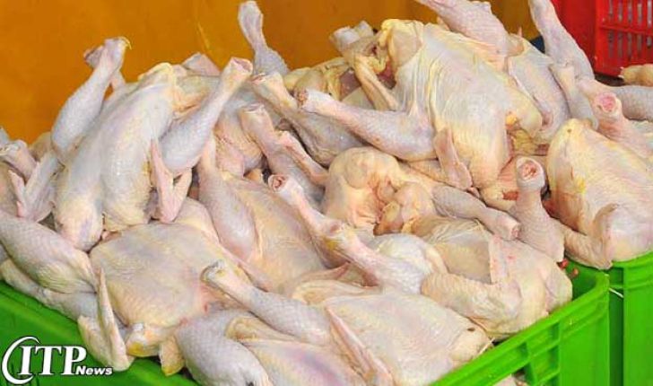 برآورد صادرات بی نظیر محصولات مرغداری برزیل